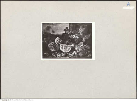 Vorderseite von bh211992_recto