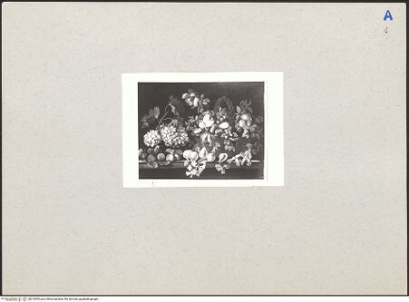 Vorderseite von bh212005_recto