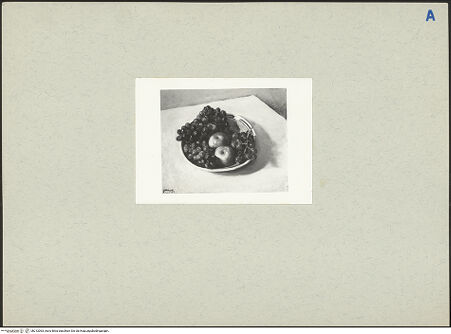 Vorderseite von bh212063_recto