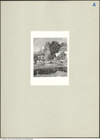 Vorderseite von bh212064_recto