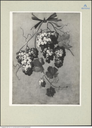 Vorderseite von bh212137_recto