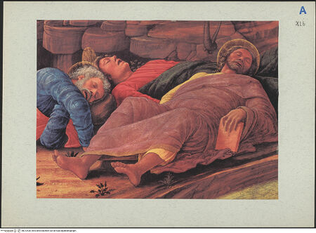 Vorderseite von bh212428_recto