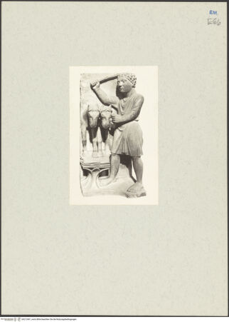 Vorderseite von bh212461_recto