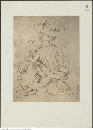 Vorderseite von bh212466_recto