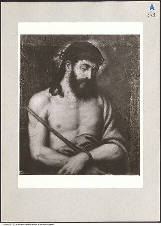 Vorderseite von bh212574_recto