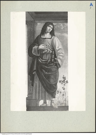 Vorderseite von bh212614_recto