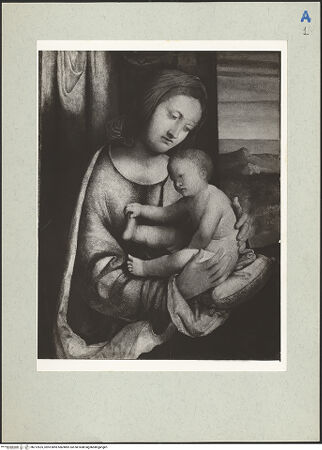 Vorderseite von bh212625_recto