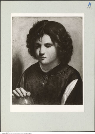 Vorderseite von bh212641_recto