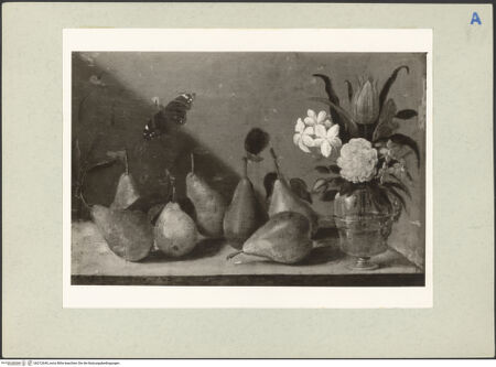 Vorderseite von bh212649_recto