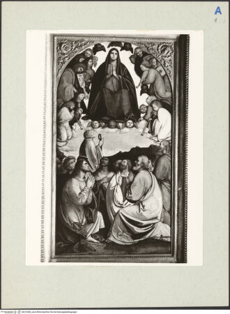 Vorderseite von bh212682_recto