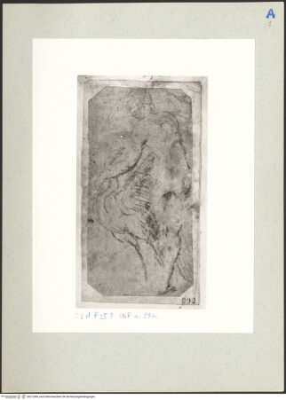 Vorderseite von bh212684_recto