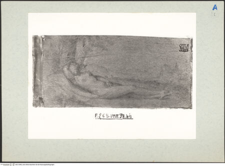 Vorderseite von bh212686_recto