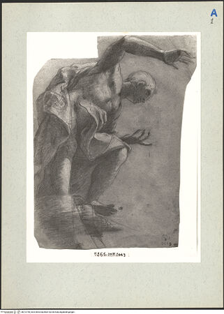 Vorderseite von bh212750_recto