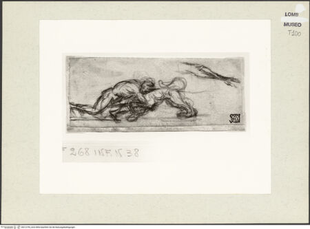 Vorderseite von bh212755_recto