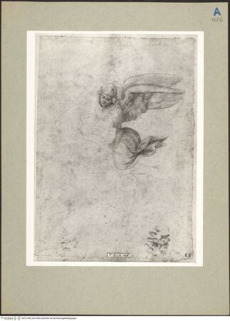 Vorderseite von bh212768_recto