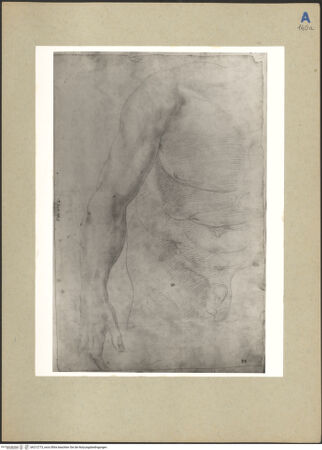 Vorderseite von bh212773_recto