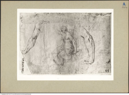 Vorderseite von bh212774_recto