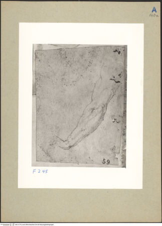 Vorderseite von bh212776_recto