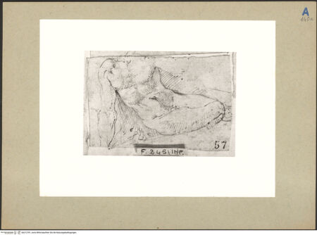 Vorderseite von bh212781_recto