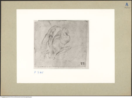 Vorderseite von bh212782_recto