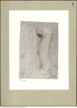 Vorderseite von bh212785_recto