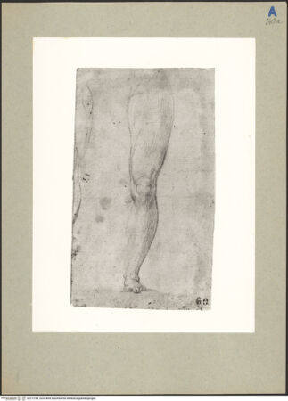 Vorderseite von bh212788_recto