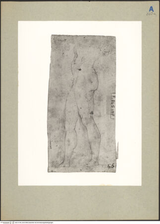 Vorderseite von bh212790_recto