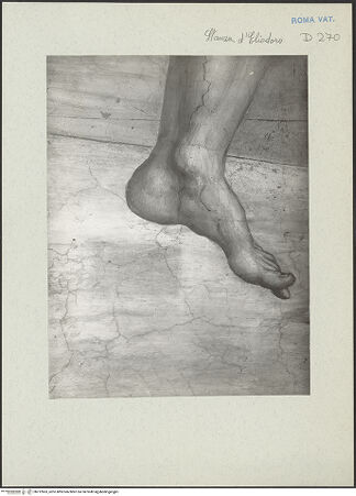 Vorderseite von bh212863_recto