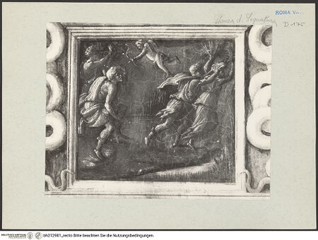 Vorderseite von bh212981_recto