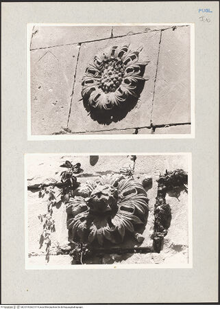 Vorderseite von bh213118_bh213119_recto