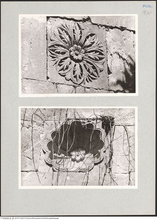 Vorderseite von bh213131_bh213132_recto