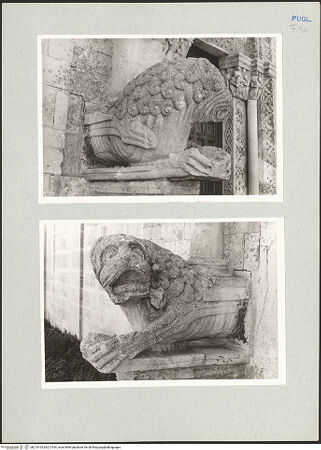 Vorderseite von bh213163_bh213164_recto