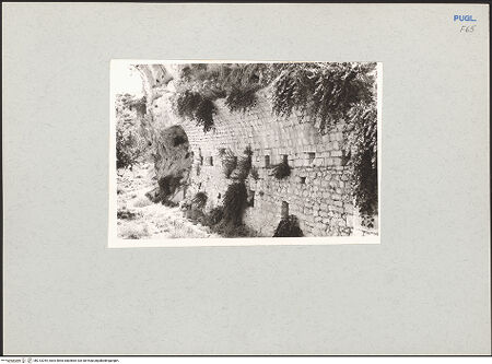 Vorderseite von bh213244_recto