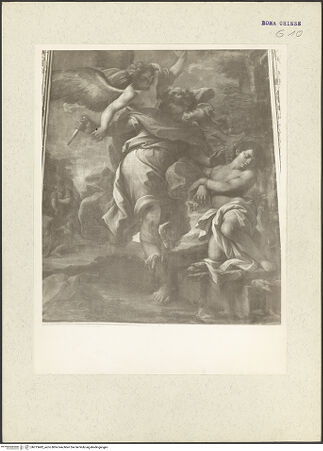 Vorderseite von bh213482_recto