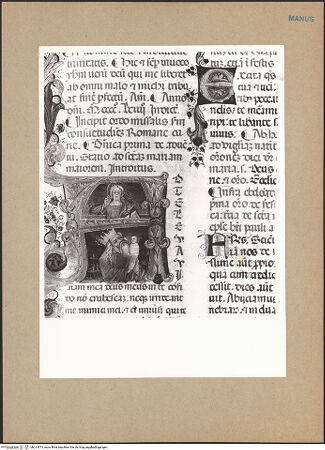 Vorderseite von bh213574_recto