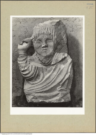 Vorderseite von bh213627_recto