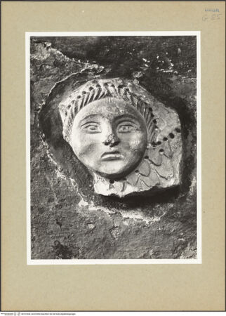 Vorderseite von bh213628_recto