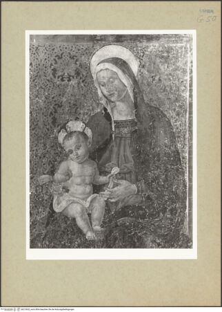 Vorderseite von bh213632_recto