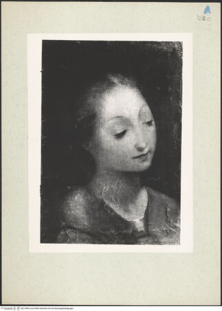 Vorderseite von bh214069_recto