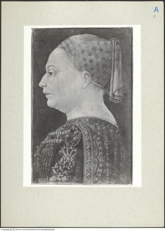 Vorderseite von bh214761_recto