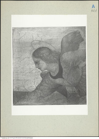 Vorderseite von bh214779_recto