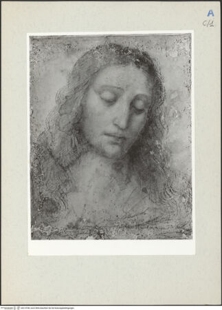 Vorderseite von bh214780_recto