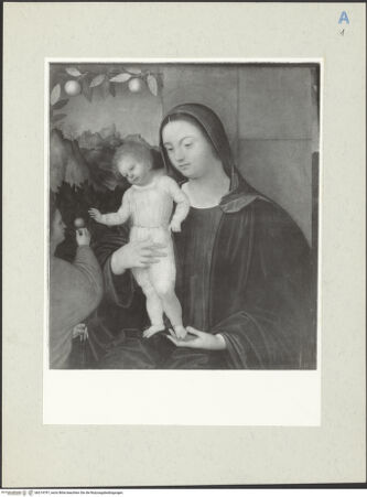 Vorderseite von bh214797_recto