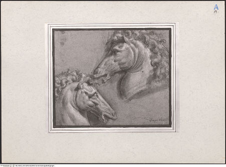 Vorderseite von bh214845_recto