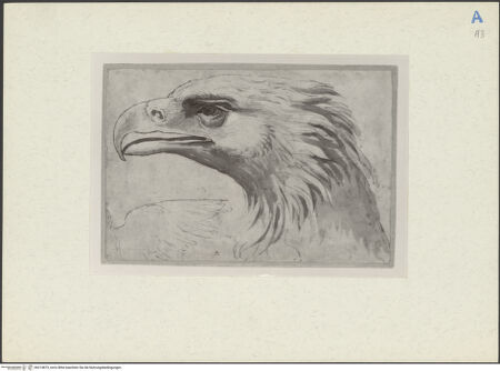 Vorderseite von bh214873_recto