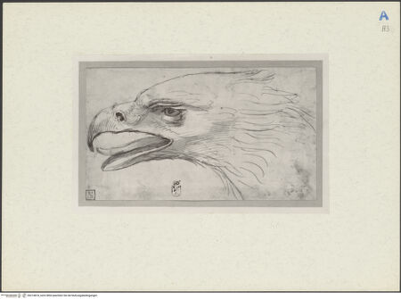 Vorderseite von bh214874_recto