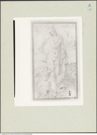 Vorderseite von bh214888_recto