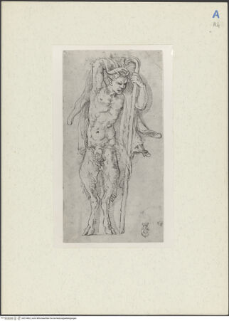 Vorderseite von bh214902_recto