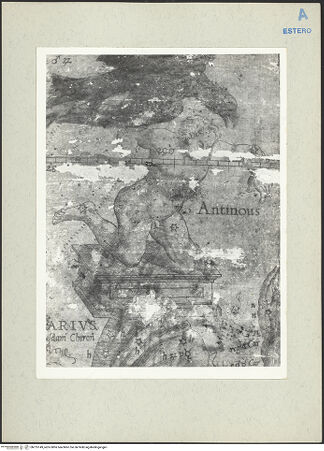 Vorderseite von bh215149_recto