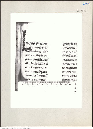 Vorderseite von bh215173_recto